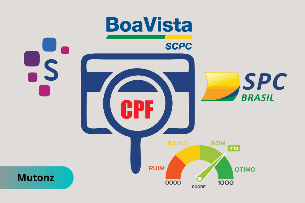 principais birôs de crédito do Brasil